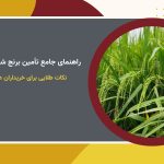 راهنمای جامع تأمین برنج شمال ایران | انواع، ویژگی‌ها و نکات خرید عمده